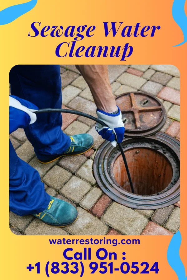 Sewage Water Cleanup in Munfordville, KY